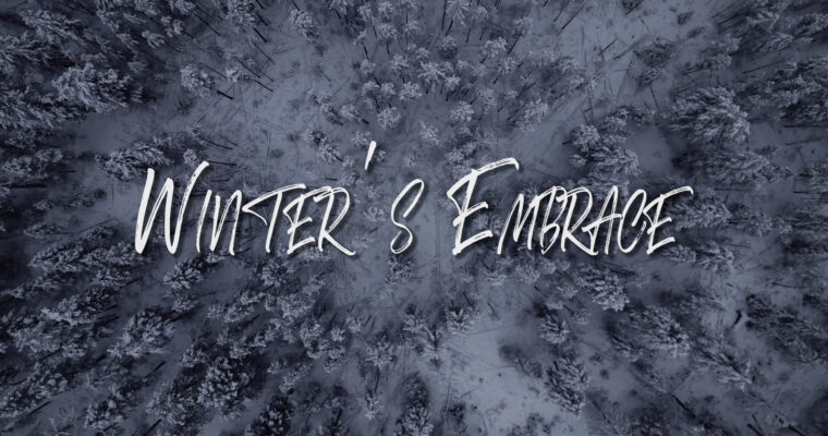 Winter’s Embrace